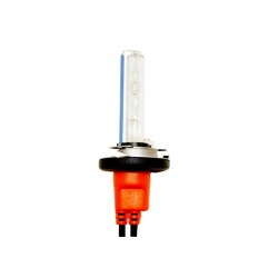 Ampoules xénon H15 35Watts de rechange - Vendues par paire