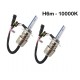 Ampoules bi-xénon métal H6m 35Watts de rechange vendues par paire