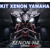 Kit xenon quad Yamaha Raptor 55W haute puissance